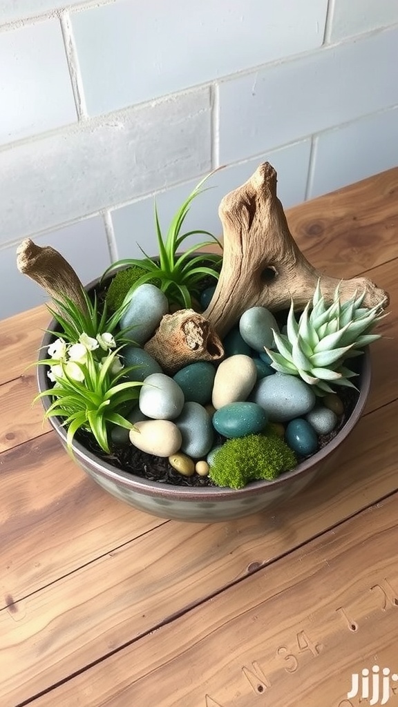 A dish garden featuring air plants, driftwood, and colorful pebbles.
