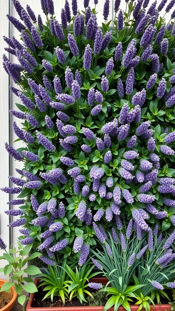 A vibrant vertical garden filled with blooming lavender flowers.