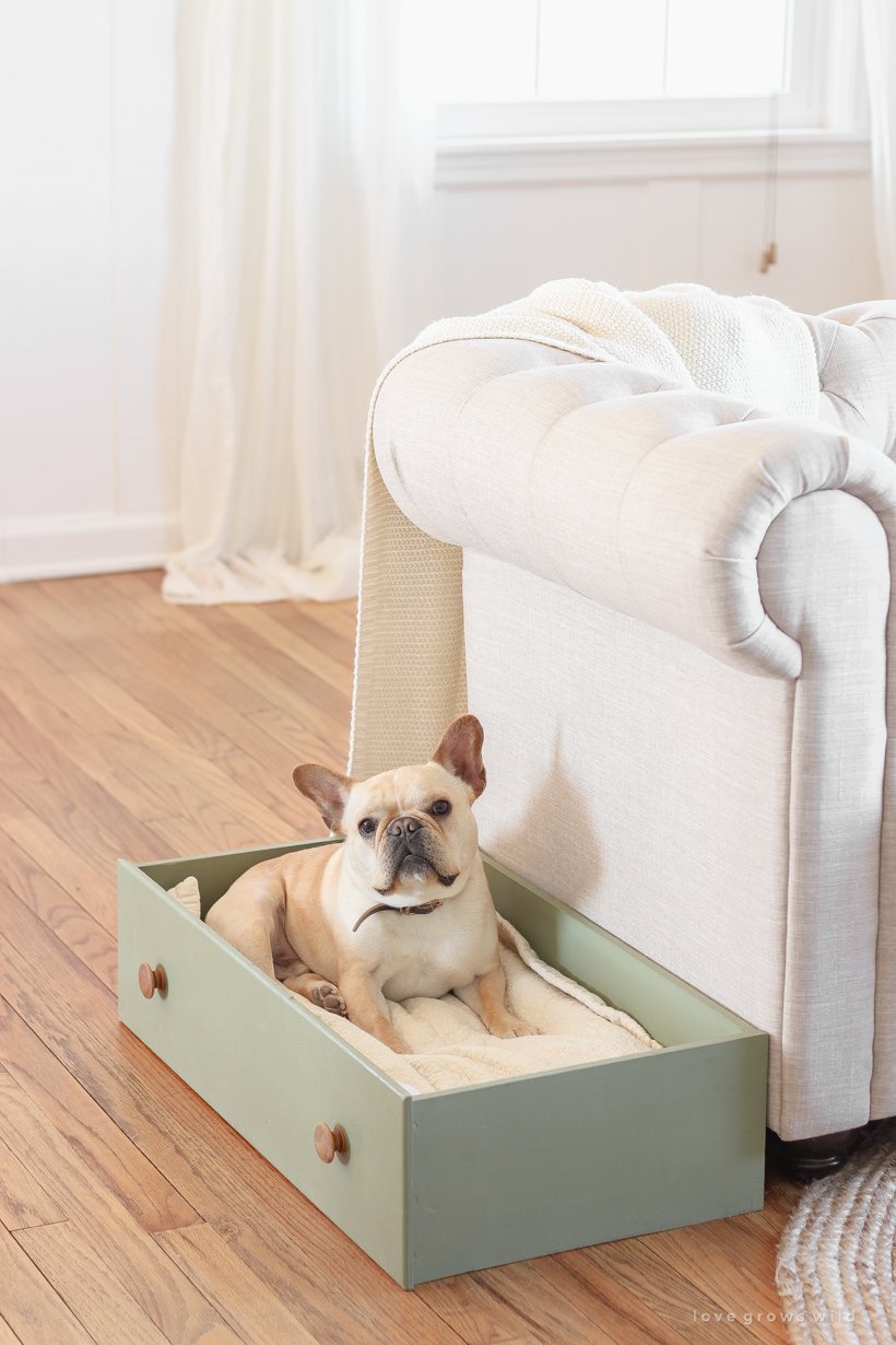 Sage Green Upcycled Drawer Bed - cute dog bed ideas