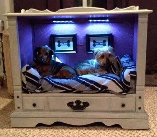 Upcycled TV Cabinet with Purple LED Lighting - cute dog bed ideas