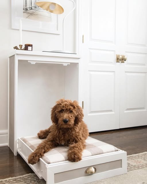 Murphy-Style Bed with Pull-Out Drawer - cute dog bed ideas