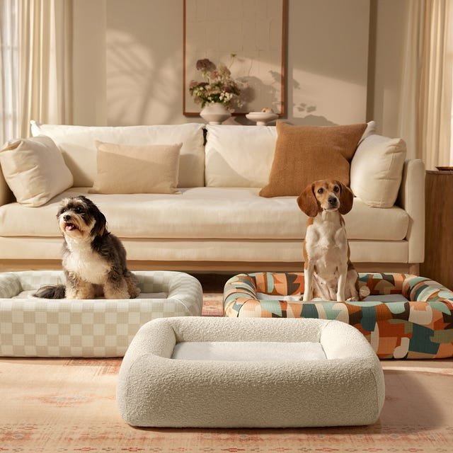Patterned and Boucle Fabric Dog Beds - cute dog bed ideas