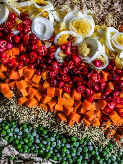 Vibrant Medley of Whole Food Ingredients - Homemade dog food recipes