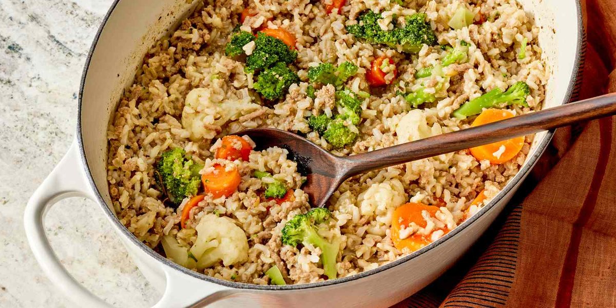 Wholesome Cooked Meal in a Creamy White Pot - Homemade dog food recipes