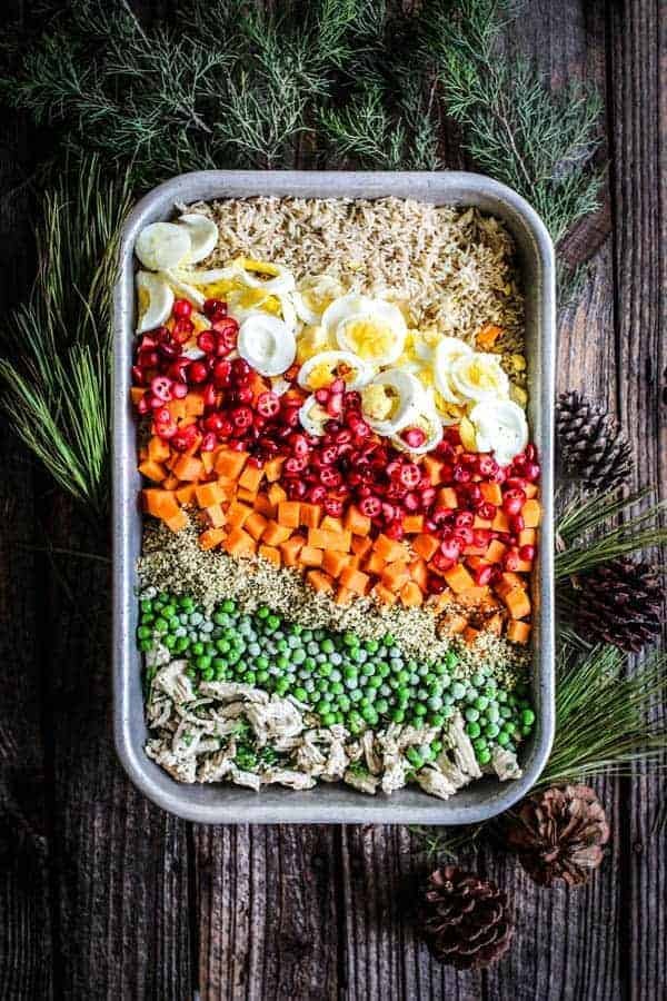 Homemade Senior Dog Food with Turkey and Rice - Homemade dog food recipes for senior dogs