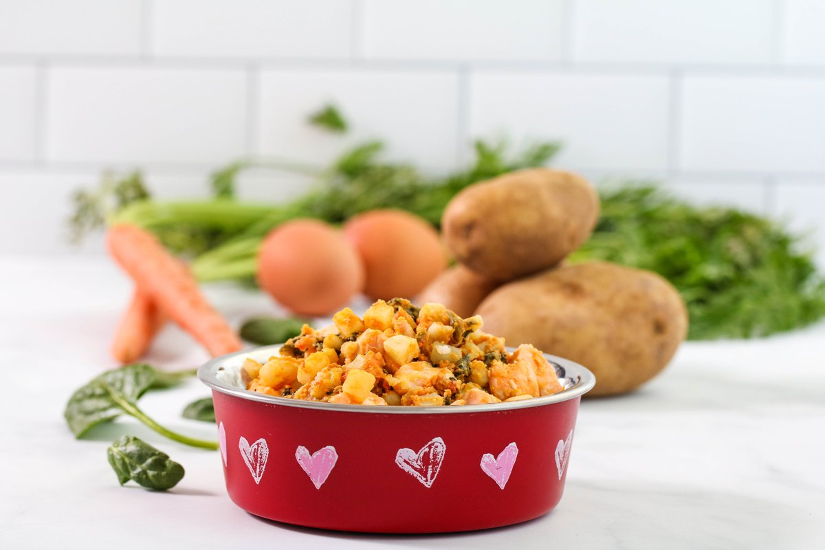 Potato and Salmon Dog Food - Homemade dog food recipes for senior dogs