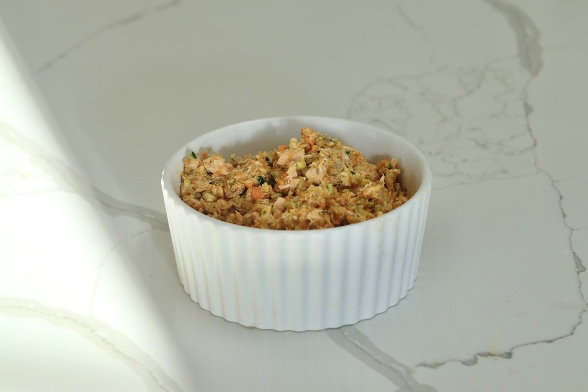 Salmon Quinoa Homemade Dog Food - Homemade dog food recipes for senior dogs