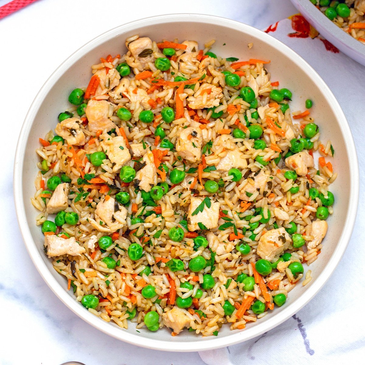Chicken and Rice for Dogs - Homemade dog food recipes for small dogs