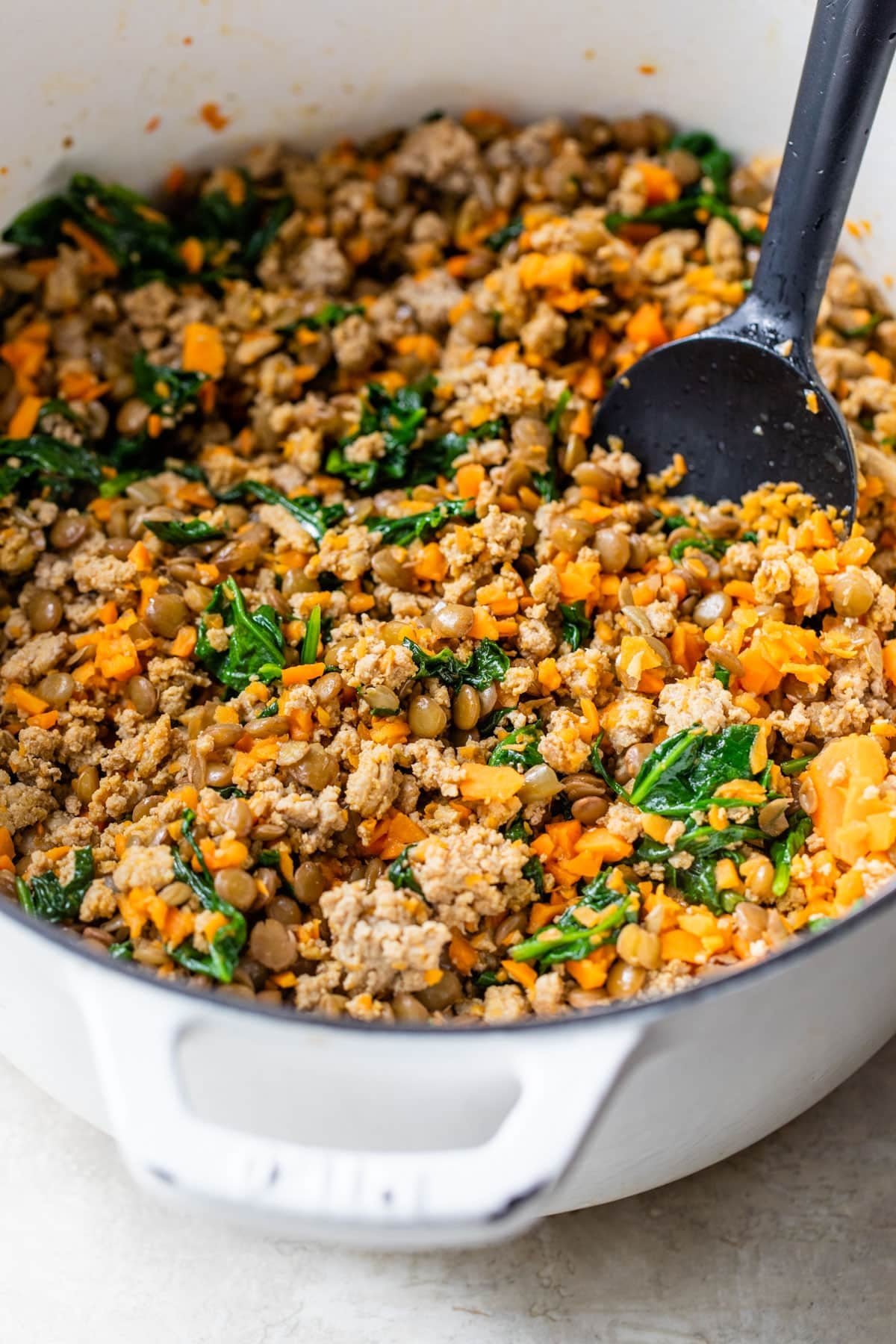 Wholesome Dog Food with Lentils and Spinach - Homemade dog food recipes for small dogs