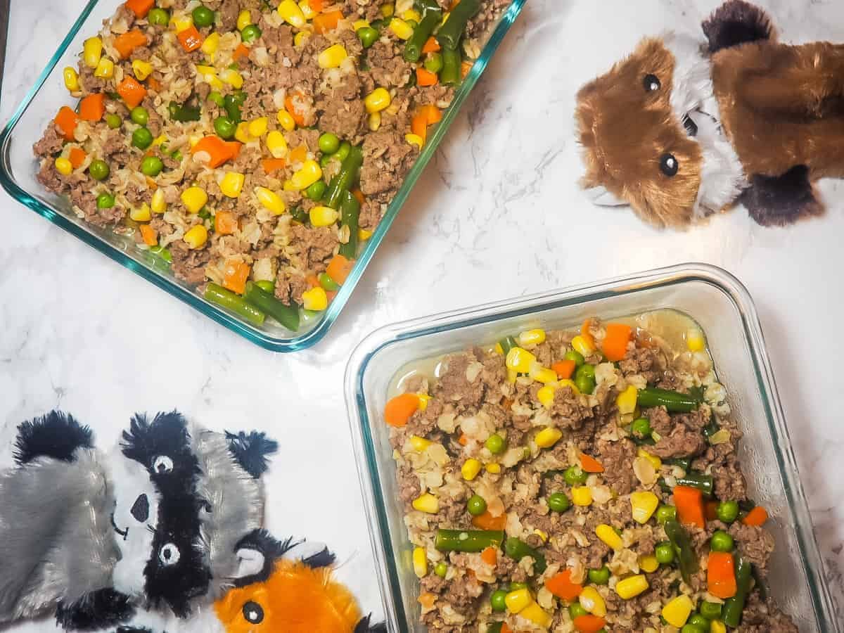 Easy Homemade Dog Food with Ground Meat - Homemade dog food recipes for small dogs