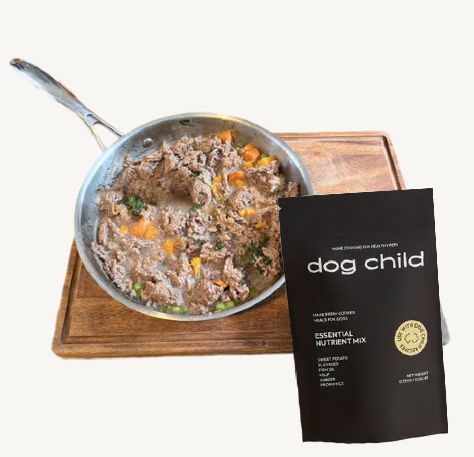 Sweet Potato Beef Skillet for Dogs - Homemade dog food recipes for small dogs